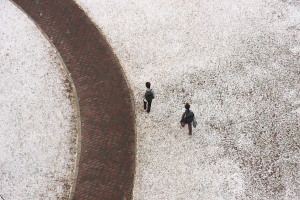 雪の朝