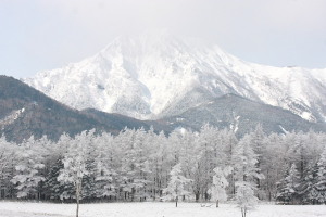 樹氷