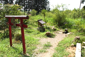ほたるの泉