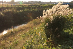 村田川