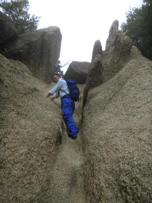 登山道 登山道