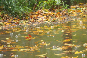 水の泡