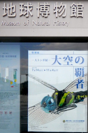 大空の覇者