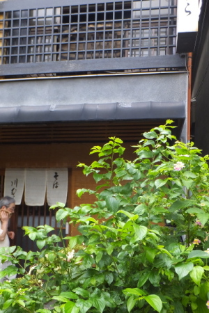 蕎麦　川村