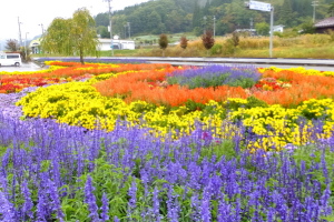花壇